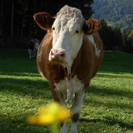 Farmház Podolerhof Mariahof